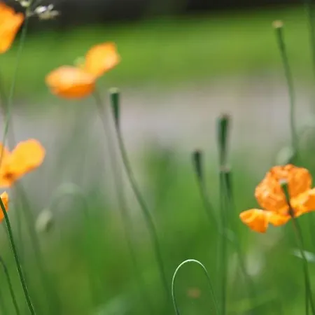 شقة Chasa Betty - Im Garten Der Drei Laender